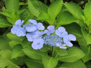 IMG_3960.jpg