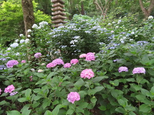 IMG_4000.jpg