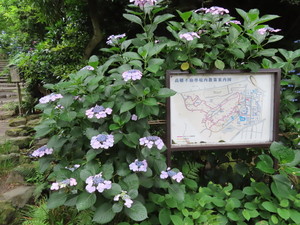 IMG_4045.jpg
