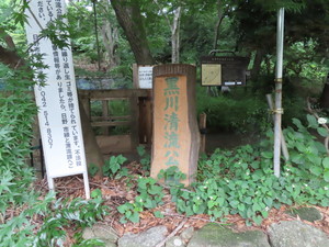 IMG_4048.jpg
