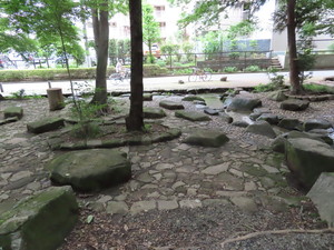 IMG_4073.jpg