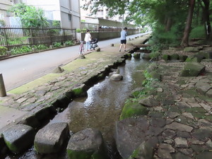 IMG_4075.jpg