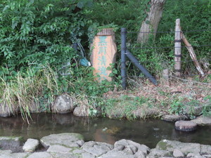 IMG_4076.jpg