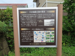 IMG_4093.jpg