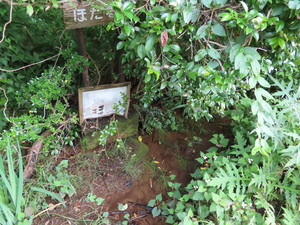 IMG_4111.jpg