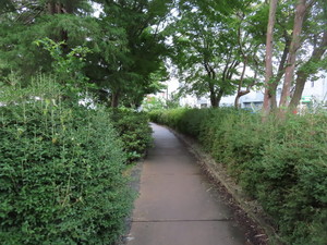 IMG_4154.jpg
