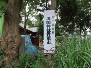 IMG_4159.jpg