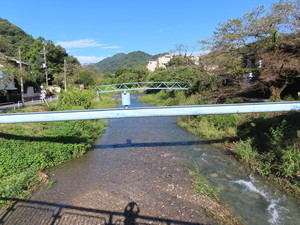 IMG_4287.jpg