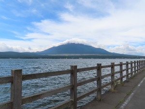 IMG_4420.jpg