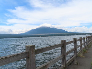 IMG_4423.jpg