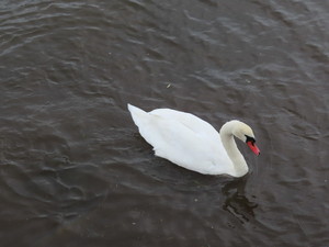 IMG_4428.jpg