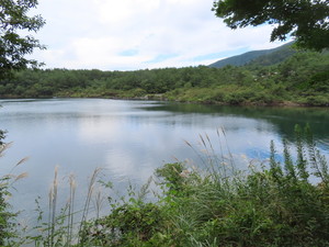 IMG_4458.jpg