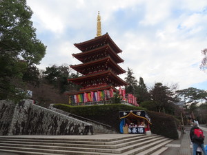 IMG_6478.jpg
