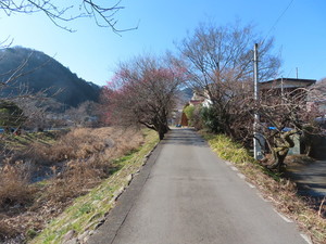 IMG_6491.jpg