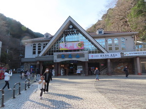 IMG_6523.jpg