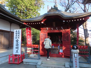 IMG_6575.jpg