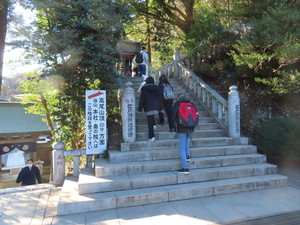 IMG_6578.jpg