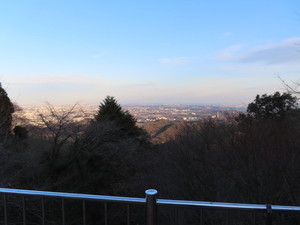 IMG_6599a.jpg