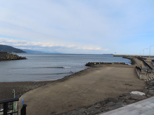 IMG_6660.jpg