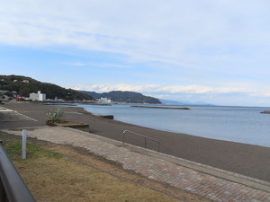 IMG_6663.jpg