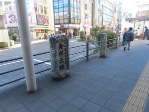 IMG_6693.jpg