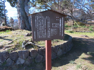 IMG_6720.jpg