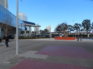 IMG_6786.jpg