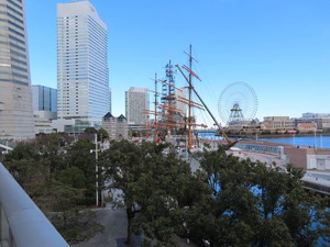 IMG_6792.jpg