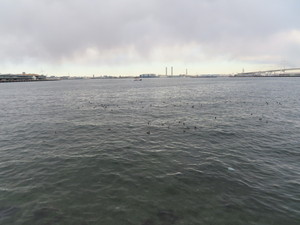 IMG_6843.jpg