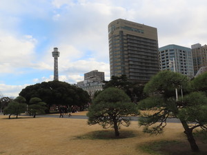 IMG_6844.jpg