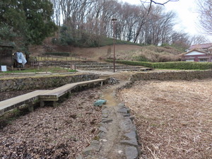IMG_6932.jpg