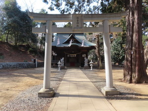 IMG_6953.jpg