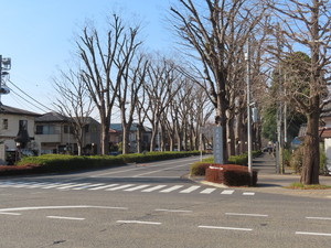 IMG_7117.jpg
