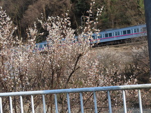 IMG_7119.jpg