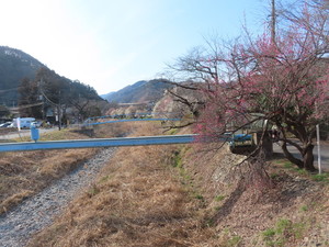 IMG_7120.jpg