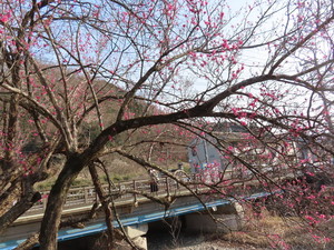 IMG_7121.jpg