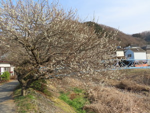 IMG_7127.jpg