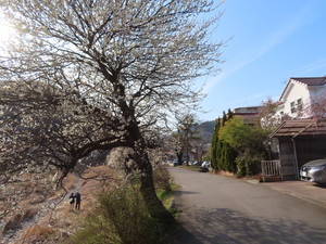 IMG_7128.jpg