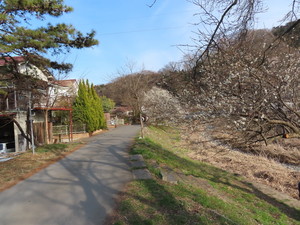 IMG_7133.jpg