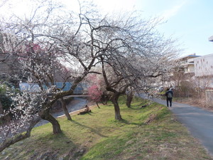 IMG_7134.jpg