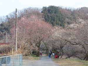 IMG_7137.jpg