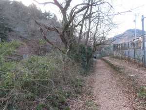IMG_7142.jpg