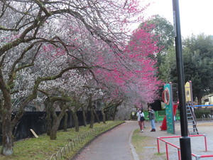 IMG_7147.jpg