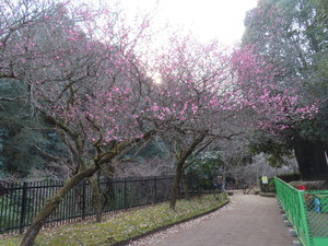 IMG_7149.jpg