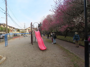 IMG_7150.jpg
