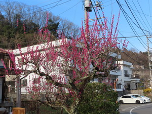 IMG_7156.jpg