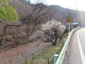IMG_7157.jpg