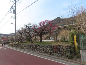 IMG_7160.jpg