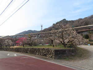 IMG_7161.jpg