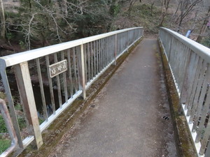 IMG_7164.jpg